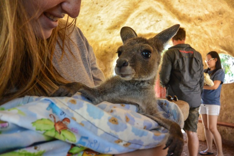 Greenough Wildlife park