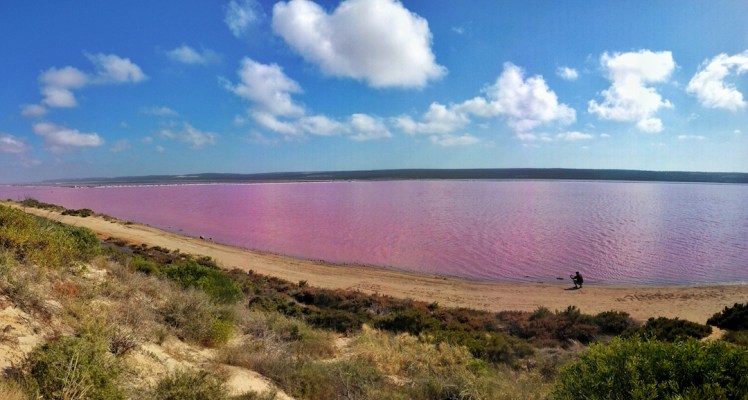 port gregory pink lake